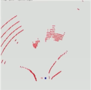 Current Tesla FSD birdseye view prediction (from Andrej Kaparthy)